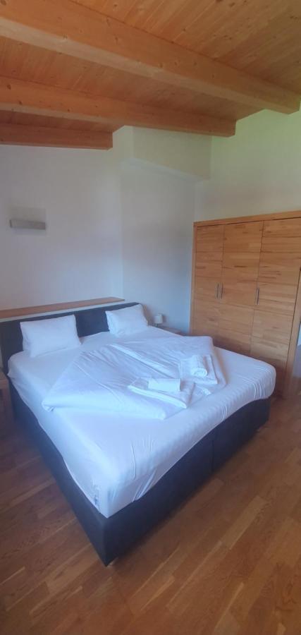 Apartment Hohe Tauern Piesendorf Bagian luar foto